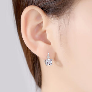 Sterling Silver Zircon Small Hoops - Enumu